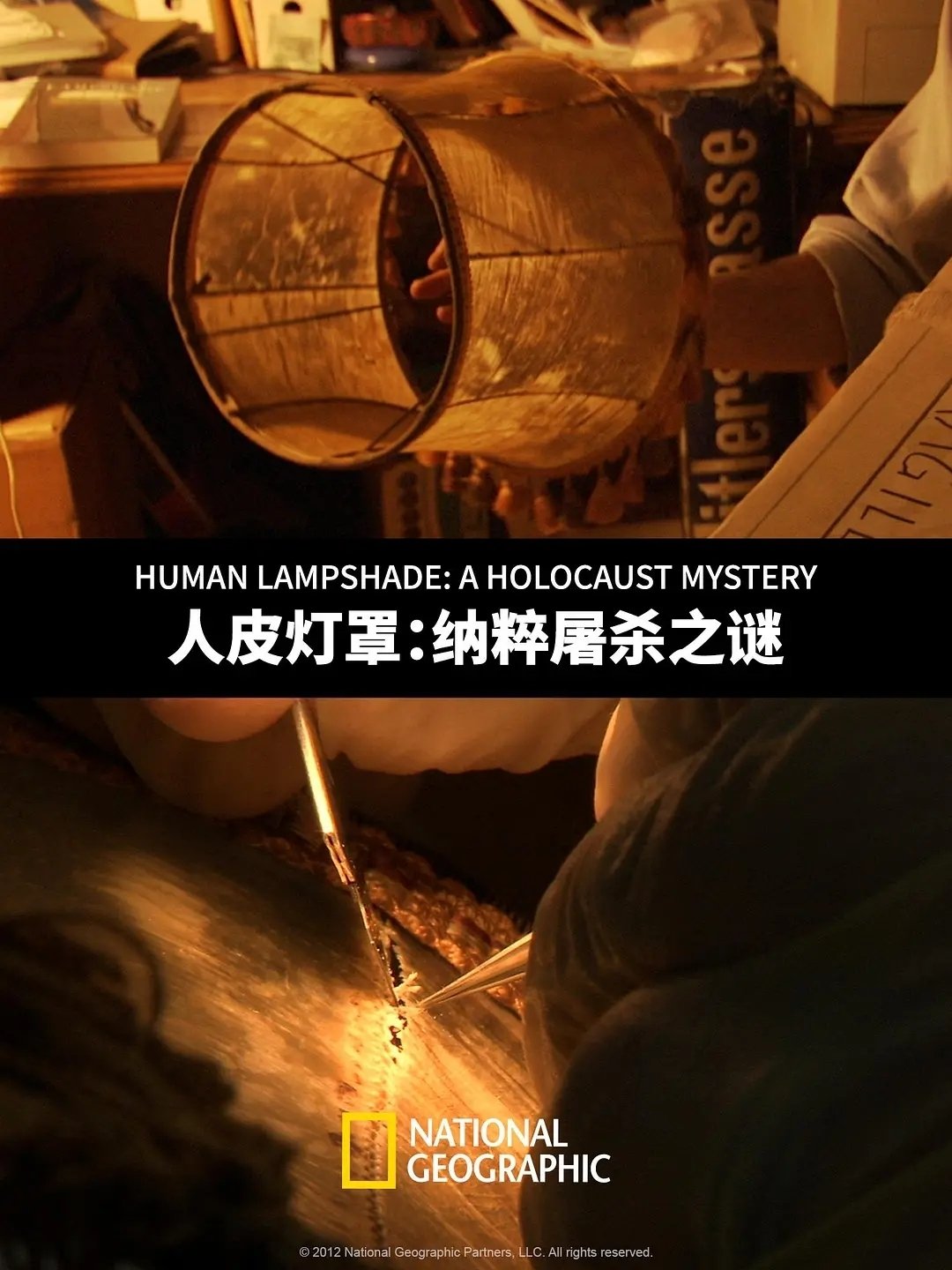 Постер Human Lampshade: A Holocaust Mystery